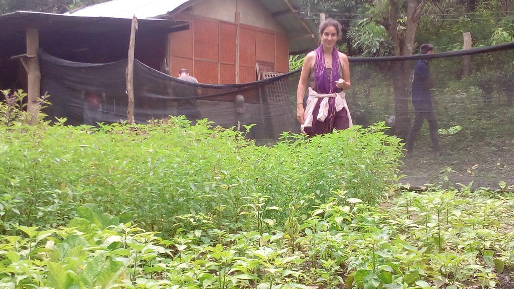 The Local Story Resort Ban Mon Talaeng Ngoại thất bức ảnh